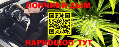 шишки Будённовск