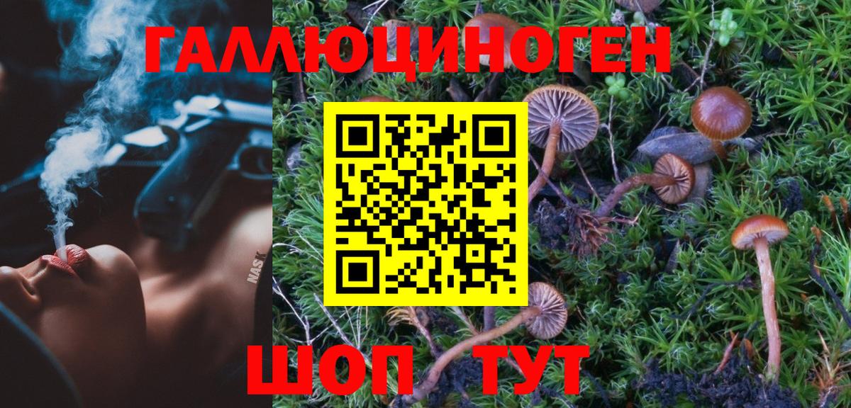 Псилоцибиновые грибы мицелий  Вход с VPN  Галлюциногенные грибы ЛСД  Лыткарино 